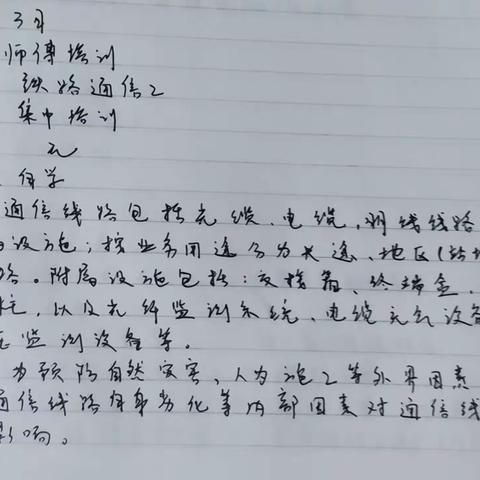 陆伊洋 7.3-7.7周总结