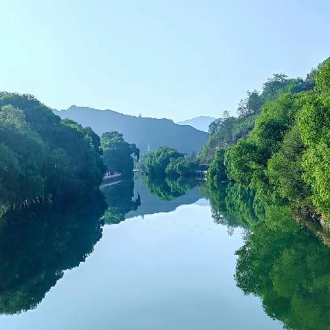 夏日🌞，名樱庄园景区