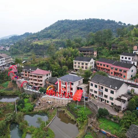 杨爱英八十寿辰庆典