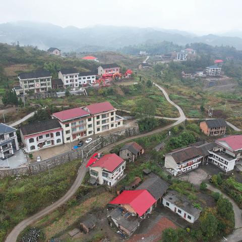吴占香老人家八十大寿庆典
