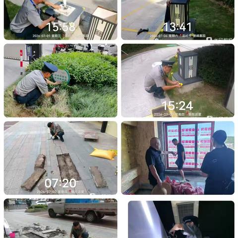 典雅龙海港湾物业7月份月报