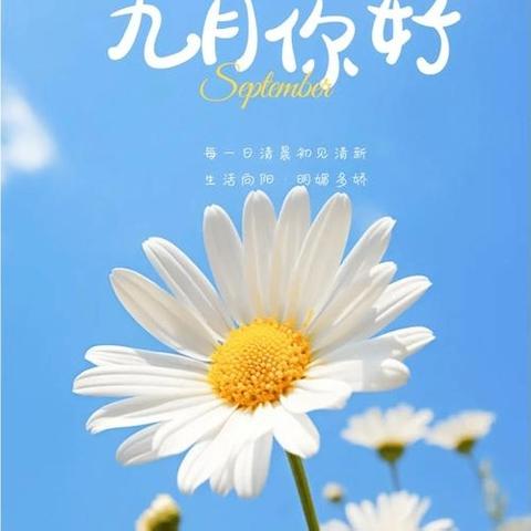 典雅龙海港湾9月第一周周报