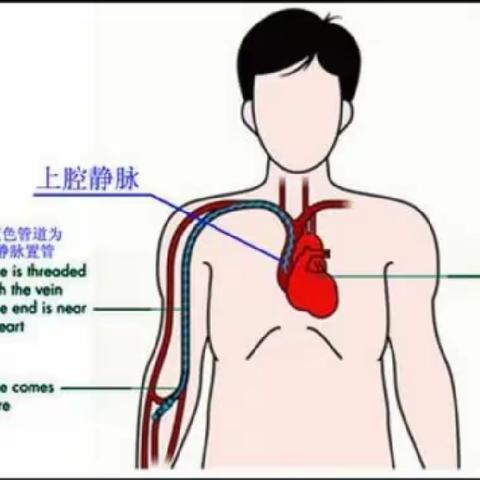 湖北省妇幼保健院   妇II吴彬的文章