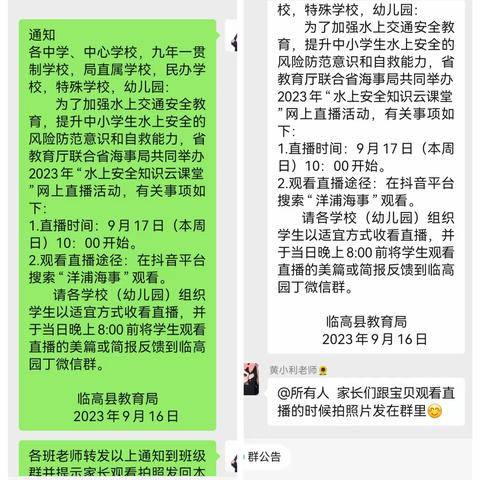 临高县新盈镇德斯堡幼儿园组织观看"水上安全云课堂"直播活动简报