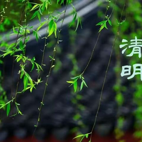 清明融于情，传统润于心---   镇原县南区幼儿园果果5班清明节主题活动