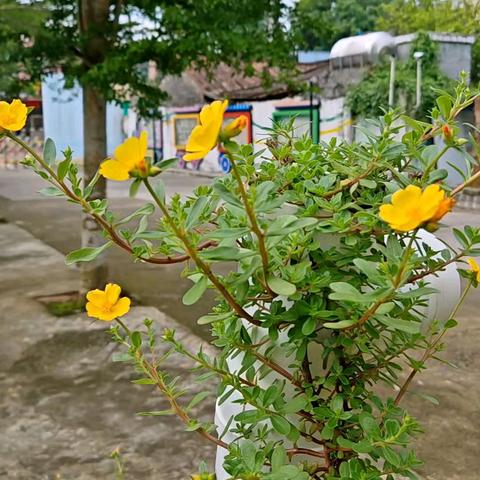 【如何进行墙面管道环镜创设】