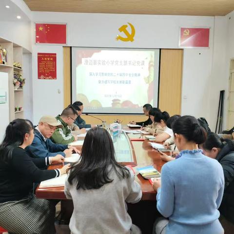 《深入学习贯彻党的二十届四中全会精神 奋力谱写学校发展新篇章》——澄迈县实验小学党支部书记党课