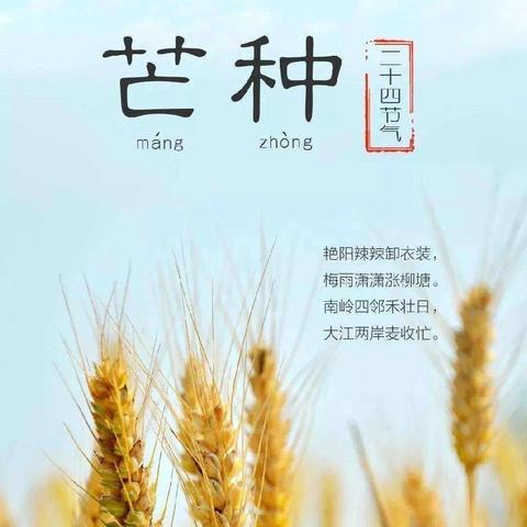 当🌾芒种🌾遇上“世界环境日”—— 镇雄县友童幼儿园主题系列活动