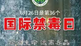 麟游县两亭镇开展“全民动员  抵制毒品”6.26国际禁毒日主题宣传活动