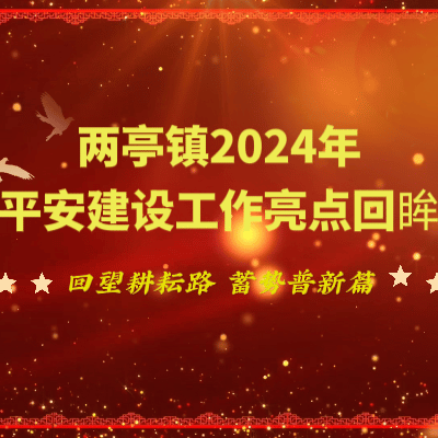 【2024工作巡礼】两亭镇学习运用“千万工程”经验推进高质量发展─综治篇