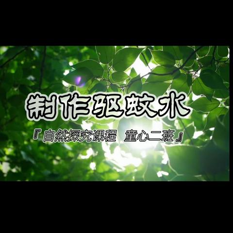 【班本课程】默默无“蚊”·清凉一夏——安平县幼儿园旧城街园童心二班自制驱蚊水主题活动