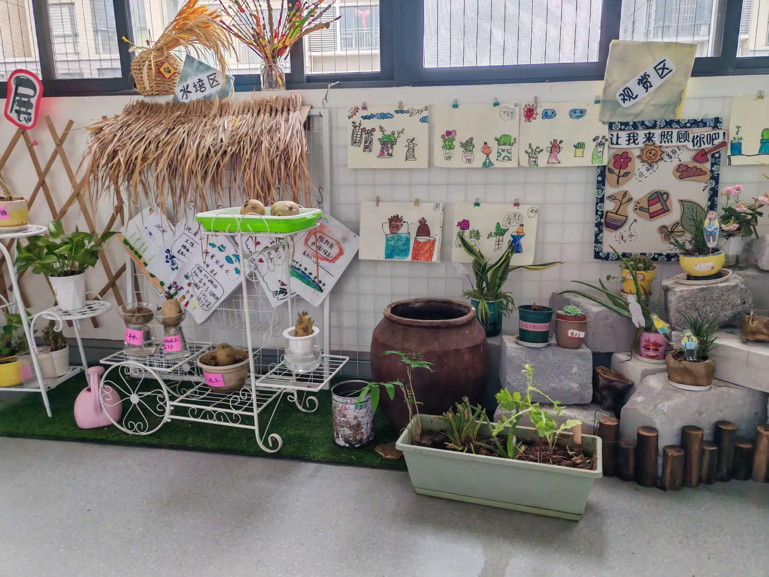 中大混龄班课程故事