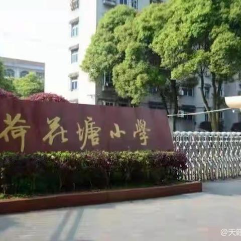 【岳阳县荷花塘小学】悠悠葫芦丝———天籁丝音奏响校园