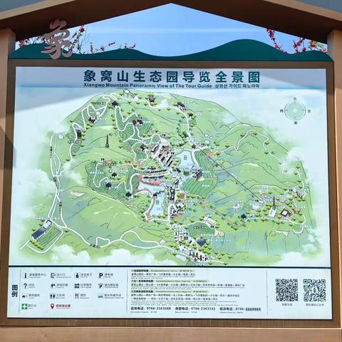 象窝山生态园茶场的桃花美丽绽放