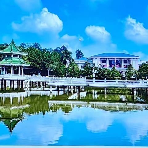 新兴县老干部大学智能手机基础班第二课堂户外活动纪实