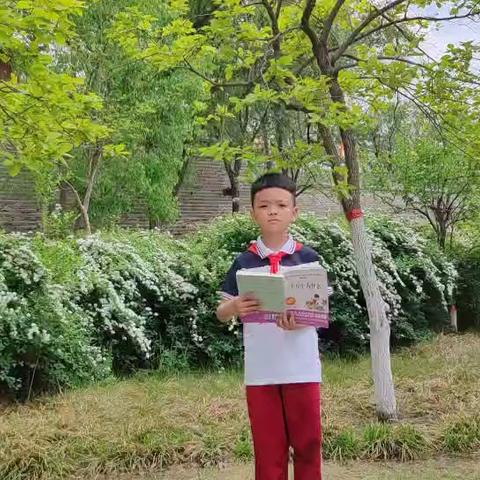 阅读科普书籍  点亮科技梦想 ——开封大学附属小学小学 《十万个为什么》阅读分享