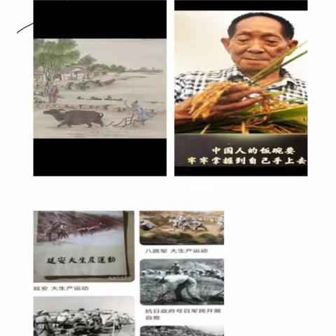 加强劳动教育，争做“种植”小能手——开展“植物栽培之旅”综合实践活动