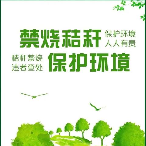 全面开展督导检查    筑牢秸秆禁烧“防火墙”