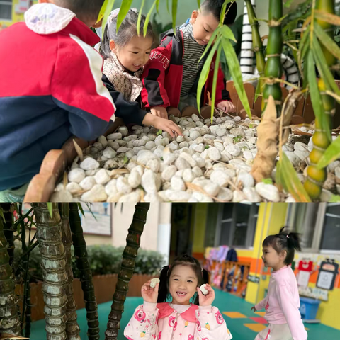 你好，石头——中一班12月课程故事