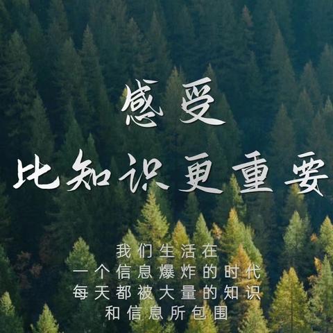 仙女🧚‍♀️山避暑研学