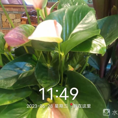 2023年6月28日西安大悦城店早开市