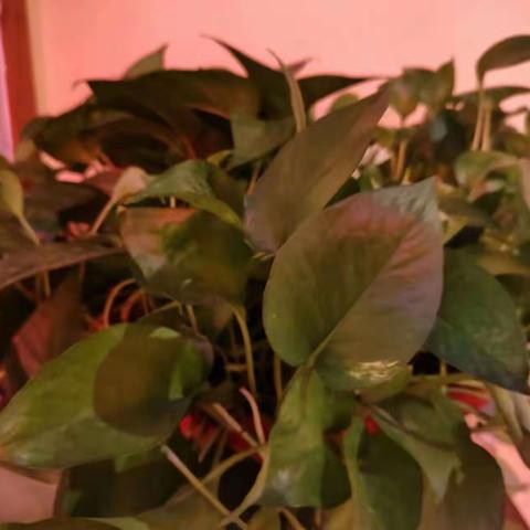 2023年6月28日西安大悦城店晚收市