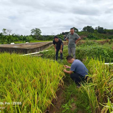 那受村开展生活垃圾清理活动