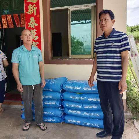 那受乡村振兴工作队2025年6月工作简报