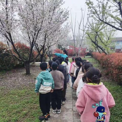 恰逢春日，一场小雨，一面春风-铜山区马坡镇前八段幼儿园大一班春日寻雨活动