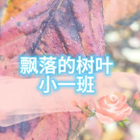 飘落的树叶--铜山区马坡镇前八段幼儿园小一班主题活动