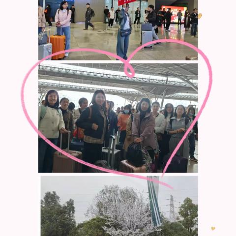 樱花三月下江城，求学问道悟“品质”——文水县教育发展实验区武汉跟岗凤城初级中学研修简报