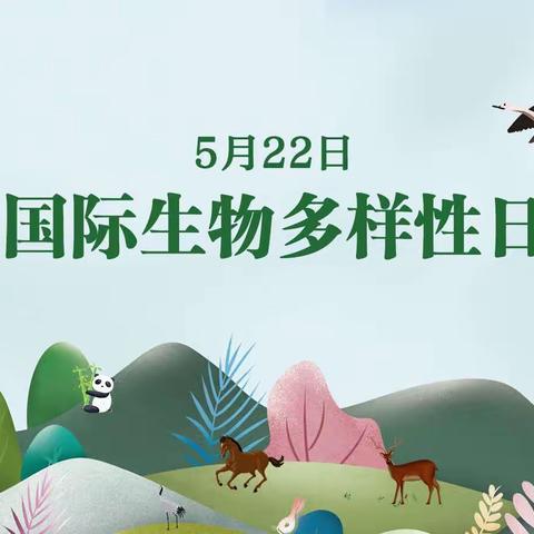 市黑河环保总站多形式开展国际生物多样性日主题宣传活动