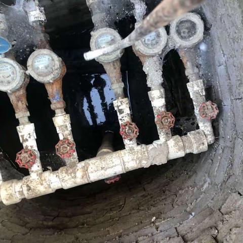 富丽佳园袅雄物的2023年