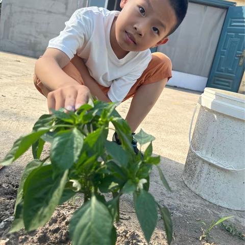 实验小学二年六班段硕