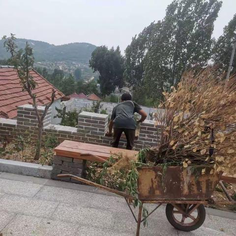 辛庄街道人居环境整治提升