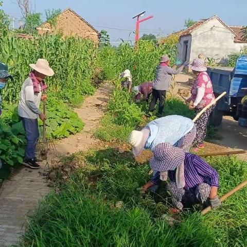 钢城区辛庄街道人居环境整治提升