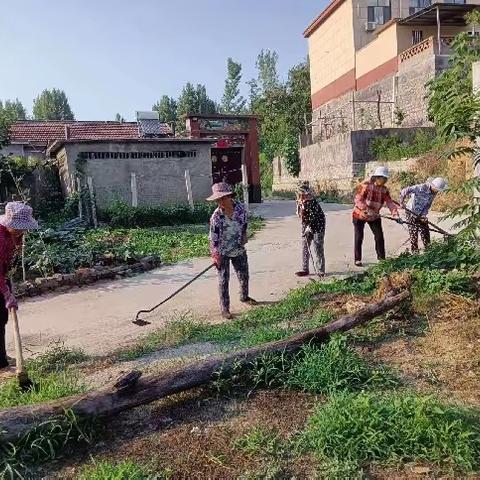 钢城区辛庄街道全力攻坚四大堆，促进人居环境整治大提升