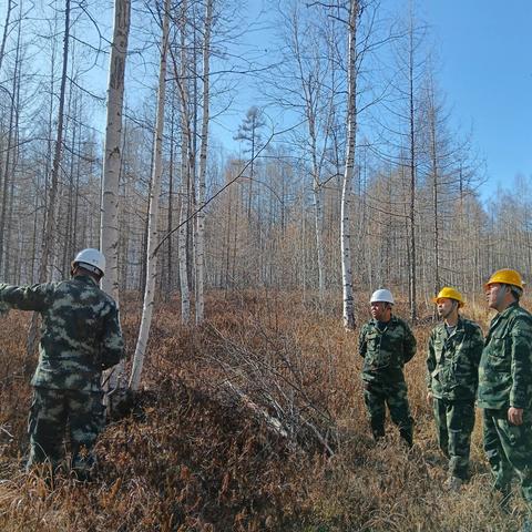 图强林业局安全生产科联合生态修复管理科对入山作业人员进行安全检查