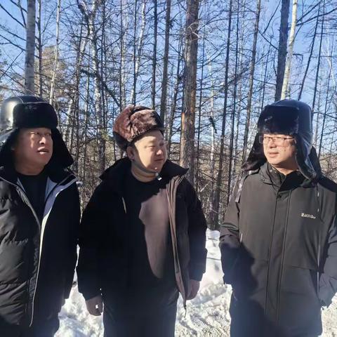 图强林业局安全生产科、生态修复管理科深入各林场检查指导森林可持续经营试点工作
