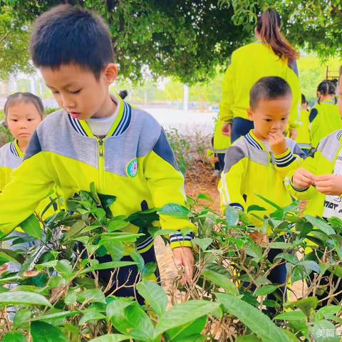 【“期待与你相育”】—嘉嘉幼儿园2024年春季招生开始啦