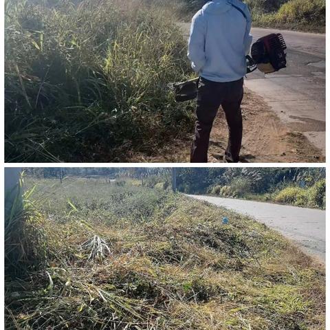 大田村开展春节后环境整治工作