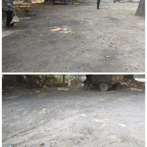 大田村开展人居环境整治工作