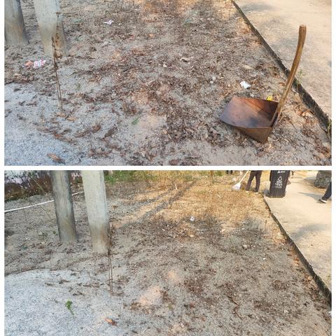 大田村持续开展人居环境整治工作