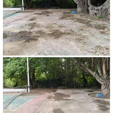 大田村持续开展人居环境整治工作