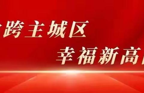 帮扶医疗，为人民健康保驾护航——区卫健局一行两人来我院对医疗卫生对口支援工作进行督导