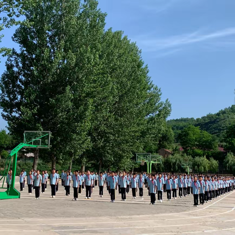 张村驿镇九年制学校实习简报（5）