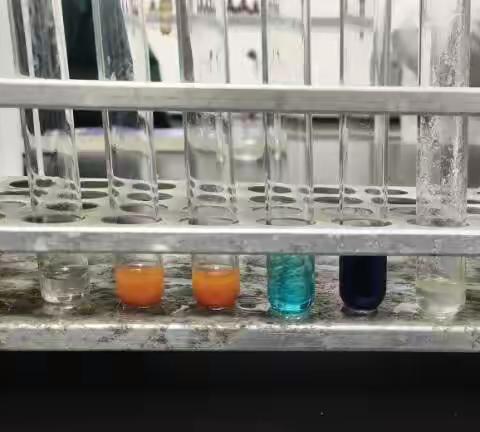 营养和生命化合物的性质