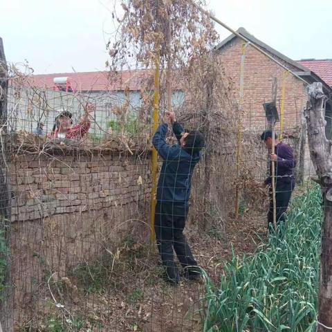 孙集镇：环境整治不松懈，人居环境再提升