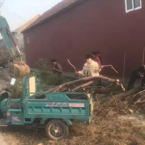 孙集镇：全面扎实开展人居环境整治行动