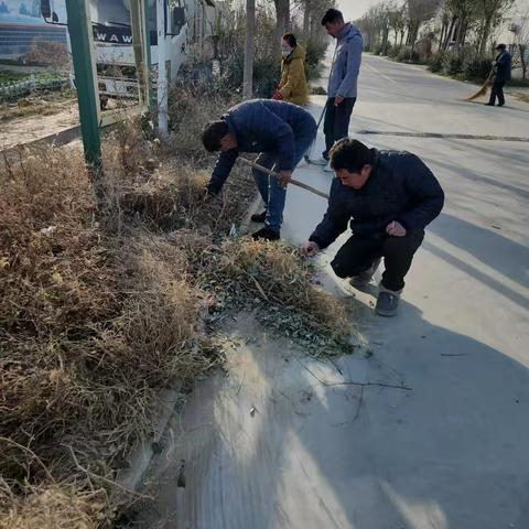 孙集镇:环境卫生不松懈 人居环境再提升